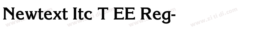 Newtext Itc T EE Reg字体转换